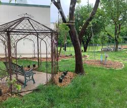 Hillside garden 