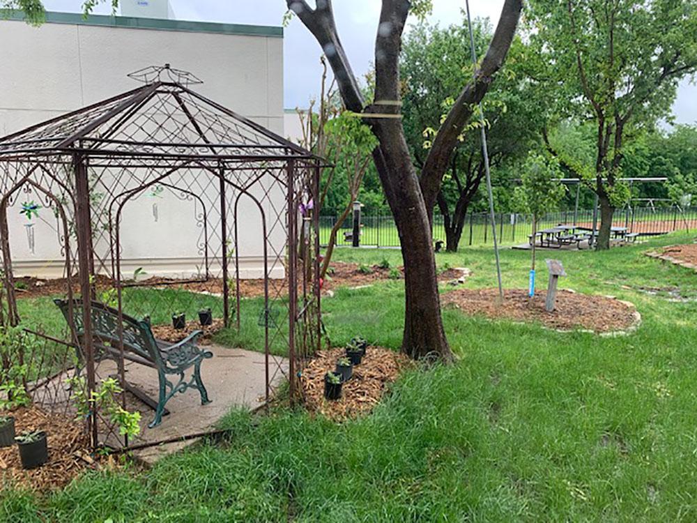 Hillside garden 